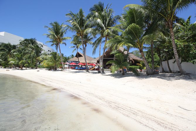 Isla Mujeres luxury catamaran with premium open bar and lunch - Isla Mujeres downtown: one hour is enough for the highlights
