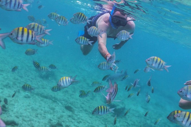 Isla Mujeres Luxury Sailing: Adults Only or Family Friendly - Adults-only vs family-friendly: choose the right sailing with care