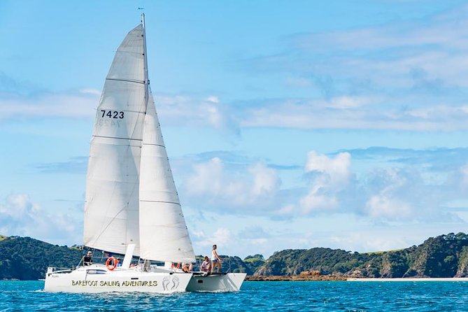 Island Hopper Day Cruise - sailing to wildlife sanctuary island - 6 hr cruise - Key Things That Make This Cruise Worth It