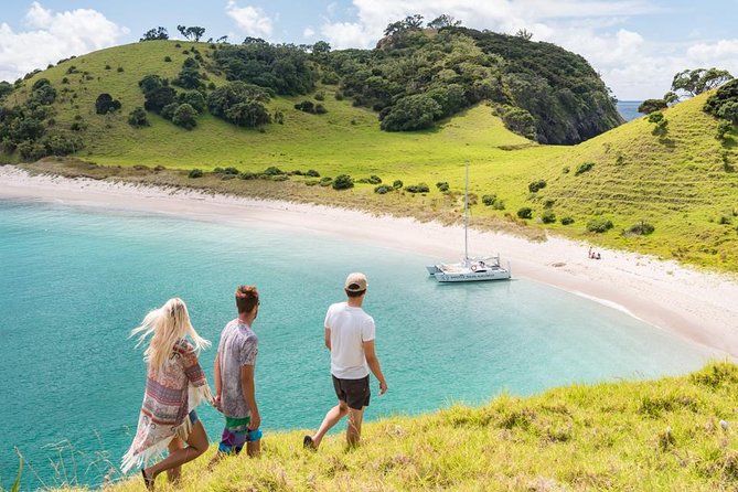 Island Hopper Day Cruise - sailing to wildlife sanctuary island - 6 hr cruise - The Bay of Islands View Gets Better When You Stop Chasing It