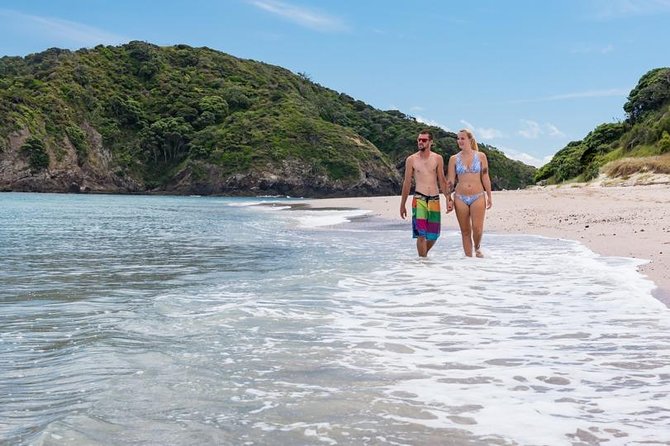 Island Hopper Day Cruise - sailing to wildlife sanctuary island - 6 hr cruise - Wildlife Sanctuary Island Stop: Snorkel, Paddleboard, and Bush-Track Walking
