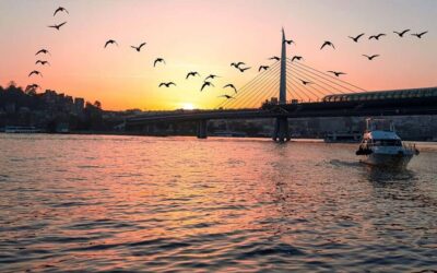 Istanbul: Bosphorus Yacht Cruise with Golden Horn View - Golden Horn view: why you should care even if it looks like a sidebar