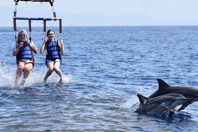 Kaanapali Beach Parasailing: Soar Above Maui’s Stunning Coastline - Logistics That Help: Meeting Point, Mobile Ticket, and Small Group