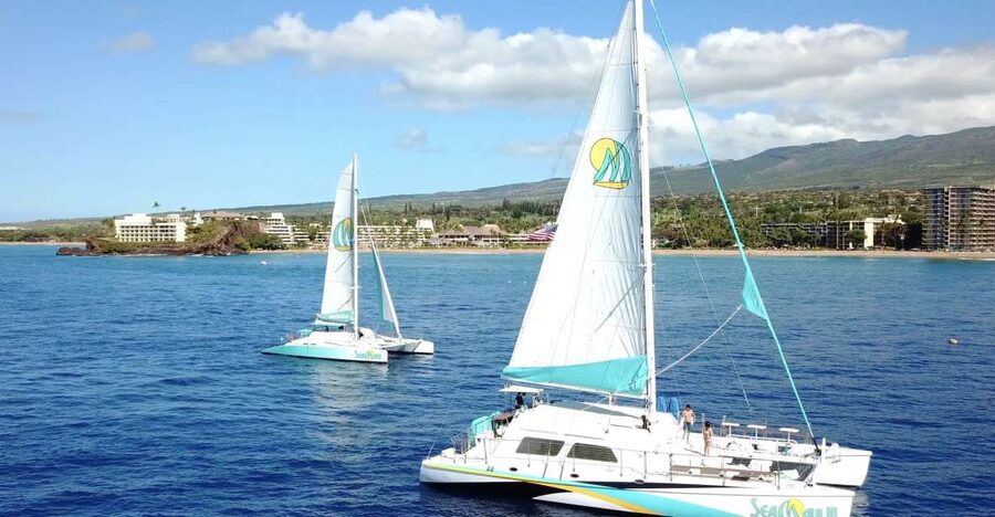 Kaanapali: Sunset Dinner Catamaran Cruise With Drinks - Price And Value: What $153 Buys You On Maui