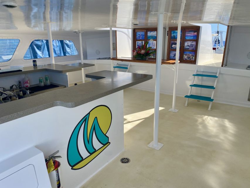 Kaanapali: Sunset Dinner Catamaran Cruise With Drinks - Who This Sunset Dinner Cruise Is Best For