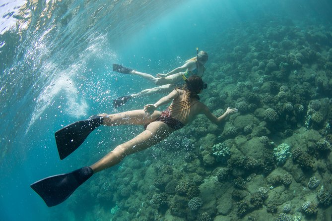 Kauai’s Na Pali Coast Snorkel and Sail Tour - Stop 2: Polihale State Park for More Coastline Time