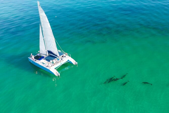 Kayak + Guided Snorkel & Morning Sail hosted by Honest Eco - Key Highlights That Make This Tour Worth It
