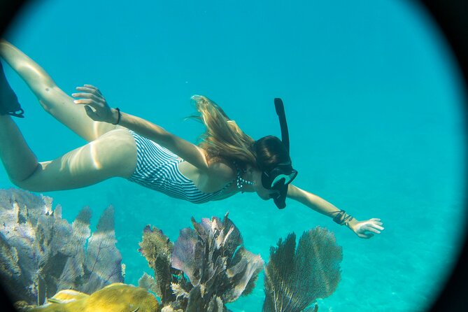 Kayak + Guided Snorkel & Morning Sail hosted by Honest Eco - Mangroves and Shallow Backcountry: Why This Boat Leg Feels Different
