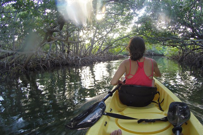 Kayak + Guided Snorkel & Morning Sail hosted by Honest Eco - Snorkeling at Sand Key Reef: Guided, Calm Water, and Better Visibility