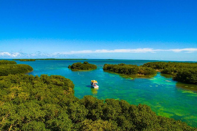 Kayak + Guided Snorkel & Morning Sail hosted by Honest Eco - Wildlife Viewing Style: Fun, Focused, and Respectful