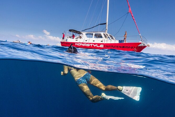 Kealakekua Bay (Captain Cook Monument) Snorkel and Sail Adventure - Marine life odds: what to look for and how to enjoy the waiting