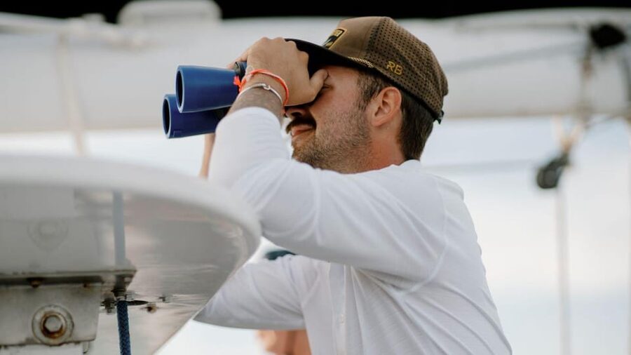 Key West: Afternoon Catamaran Sail and Dolphin Watch - What the Reviews Teach You About Your Odds