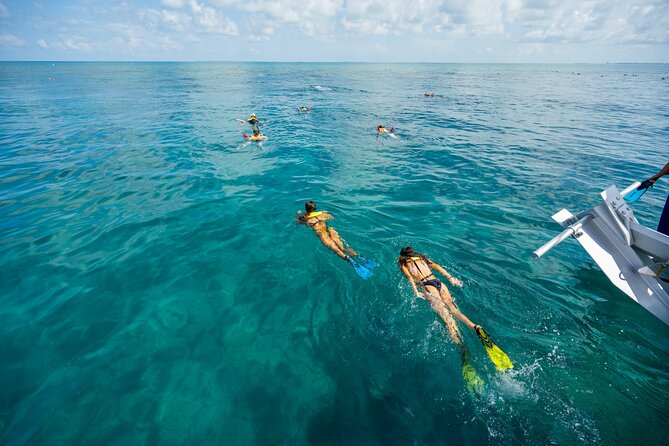 Key West Afternoon Snorkel Sail with Unlimited Cocktails! - Seven and a Half Miles Offshore to the Florida Reef