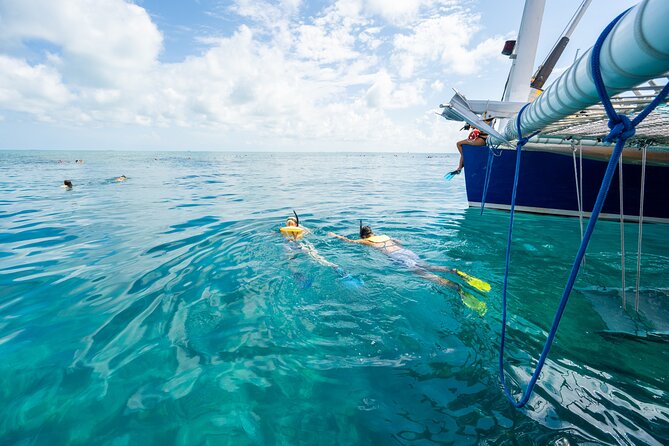 Key West Afternoon Snorkel Sail with Unlimited Cocktails! - Crew Energy, Boat Comfort, and the Reality of Up to 80 People