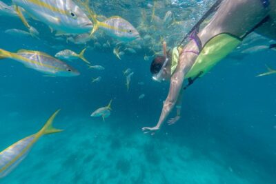 Key West Afternoon Snorkel Sail with Unlimited Cocktails! - Drinks and Cocktails: Open Bar, But Timing Changes the Mood
