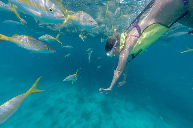Key West Afternoon Snorkel Sail with Unlimited Cocktails! - Drinks and Cocktails: Open Bar, But Timing Changes the Mood
