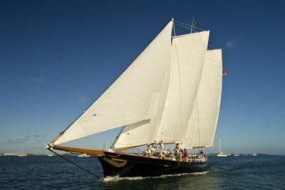 Key West Day Sail on Schooner America 2.0 with 2 Drinks - The 90-minute loop: what you’ll see and how the captain plays it