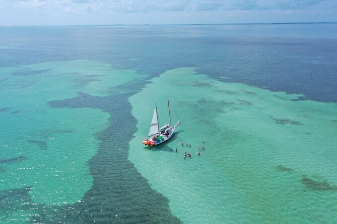 Key West Full-Day Ocean Adventure: Kayak, Snorkel, Sail - Kayaking the mangrove canopy: the quiet part where wildlife shows up