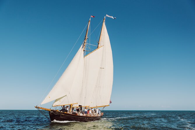 Key West Historic Schooner When And If Sunset Cruise - Wildlife Spotting in the National Marine Sanctuary (What to Watch For)