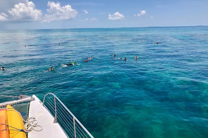 Key West Morning Snorkel Sail with Mimosas and Gourmet Breakfast - A 9:00 am Key West Catamaran Rhythm You Can Actually Use