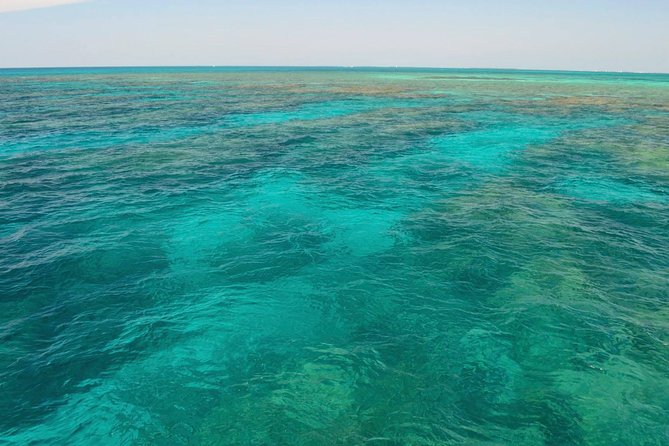 Key West Reef Snorkel & Sail Adventure - Drinks onboard: a small luxury that makes the boat part work