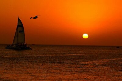 Key West Rum and Reggae: Reef Snorkel Adventure and Sunset Sail - Snorkel Setup: Gear, Flotation, and What Entry Feels Like