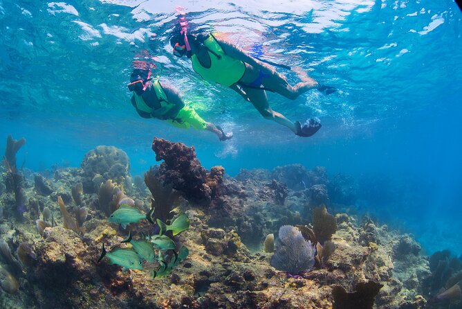 Key West Rum and Reggae: Reef Snorkel Adventure and Sunset Sail - Price and Value: Why $59.95 Can Feel Fair