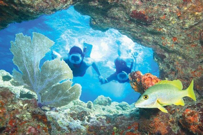 Key West Rum and Reggae: Reef Snorkel Adventure and Sunset Sail - Final Call: Should You Book Key West Rum and Reggae?