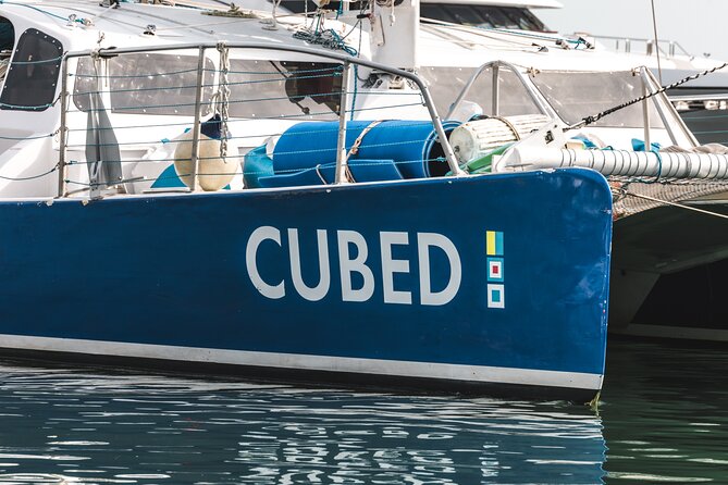 Key West's Favorite Afternoon Dolphin Sail - Key Points That Make This Dolphin Sail Worth Your Time