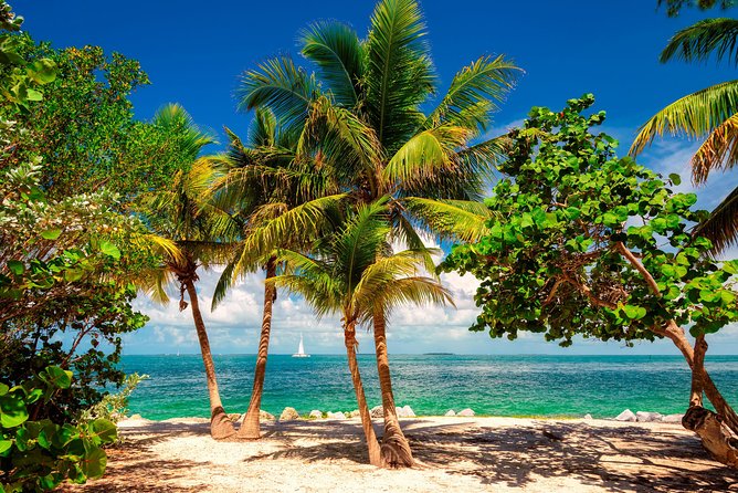 Key West Sail and Snorkel with Hotel Transportation from Miami - Crew Vibe and Group Size: When the People Matter