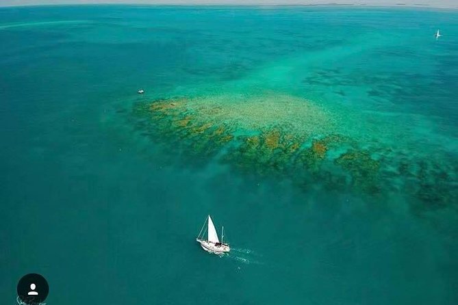 Key West Sailing & Snorkeling: A Reef Adventure - Price and Value: What $79 Actually Buys