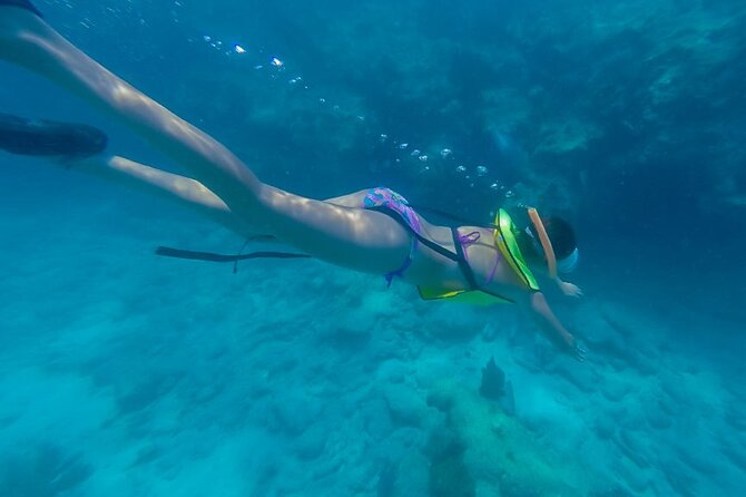 Key West Schooner Backcountry Eco Tour Sail Snorkel and Kayak - Key West Schooner Eco Tour: Highlights You’ll Feel in the Moment