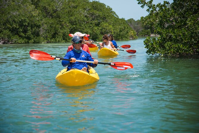 Key West Schooner Backcountry Eco Tour Sail Snorkel and Kayak - Kayaking Time: Easy Effort, Real Water Experience