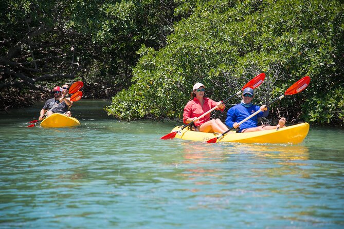 Key West Schooner Backcountry Eco Tour Sail Snorkel and Kayak - Snorkeling Setup and What You’ll Actually See