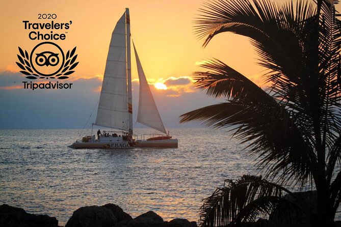 Key West Sunset Sail: Dolphin Watching, Wine, and Tapas - Comfort, Restrooms, and the Small-Group Advantage