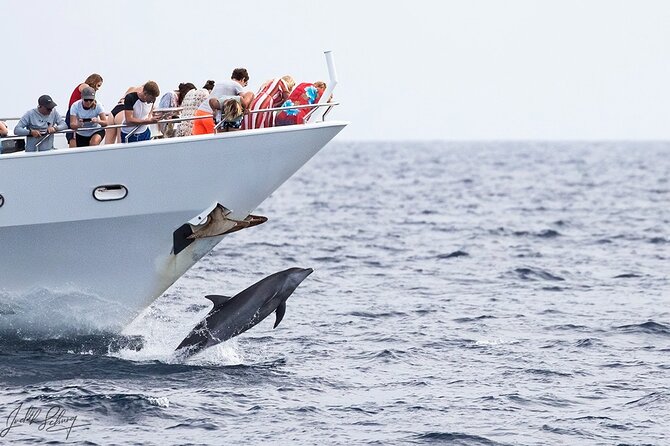 Klein Curacao Superyacht and Beach house - Island exploring: lighthouse walks, shipwreck views, and optional relaxation