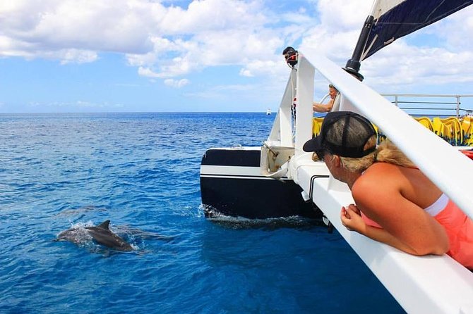 Ko Olina Catamaran Sail and Snorkel with Lunch - Ko Olina’s west-coast start: less hustle, more ocean