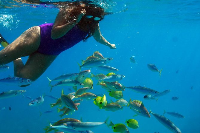 Ko Olina Catamaran Sail and Snorkel with Lunch - Lunch onboard: individually wrapped sandwiches, plus bar time