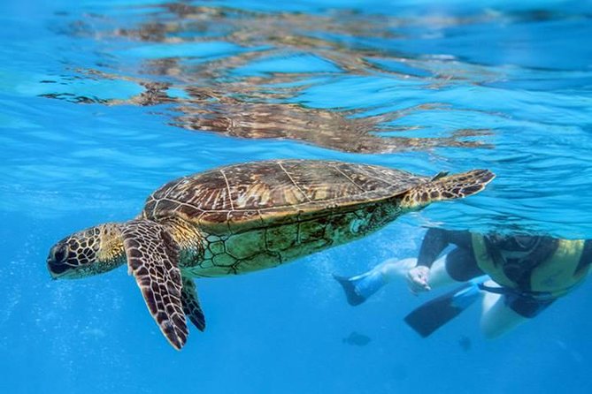 Ko Olina Catamaran Sail and Snorkel with Lunch - What to bring (since the tour doesn’t provide everything)