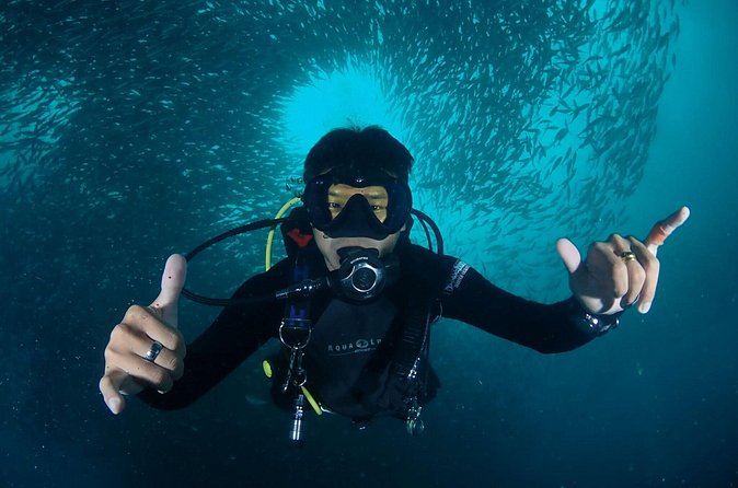 Koh Samui 2-Dive Trip to Sail Rock for certified divers - Pickup/Drop-off by Minivan: The Quiet Advantage