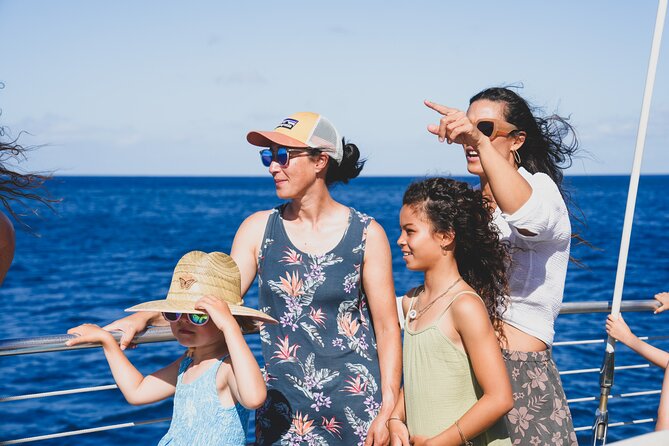 Kona Deluxe Catamaran Whale Watch - Whale watching reality check: humpbacks, plus dolphins and false killer whales