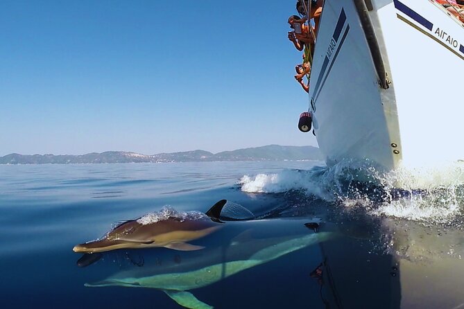 Kos: Small Group Full-Day Sailing with Meal, Drinks, & Swim - Snorkeling Gear and Water-Time Reality Check