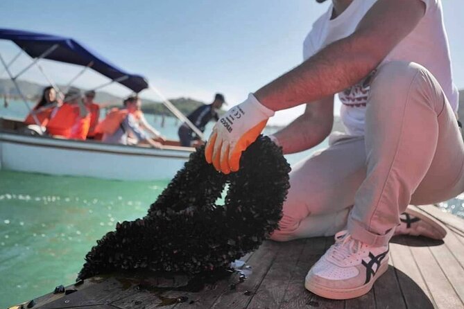 Ksamil: Mussel Sailing Tour with Food and Drink in Albania - Stop 2: Kalivoj lake restaurant lunch and mussels three ways