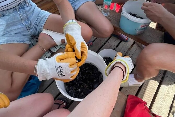 Ksamil: Mussel Sailing Tour with Food and Drink in Albania - Price and value: is $67.72 worth it?