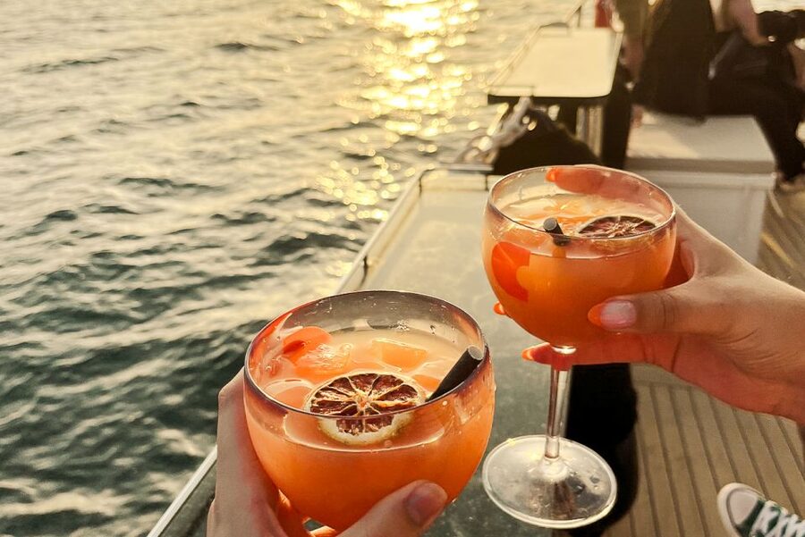 La Grande Motte: Camargue Sunset Catamaran Tour with a Drink - Boarding and comfort: sunbeds and an easy pace
