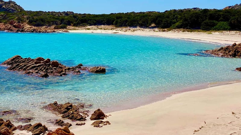 La Maddalena Arcipelago: Sailing boat tour with lunch - Budelli and Spiaggia Rosa: the pink beach without the crowds