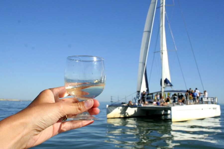 La Rochelle: Catamaran Cruise - La Rochelle From a 16-Meter Maxi-Catamaran: What You Actually Get