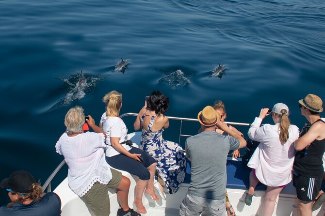 Lagos: Dolphins & Benagil Caves – Catamaran - Why This Lagos Catamaran Feels Better Than Speed Boats