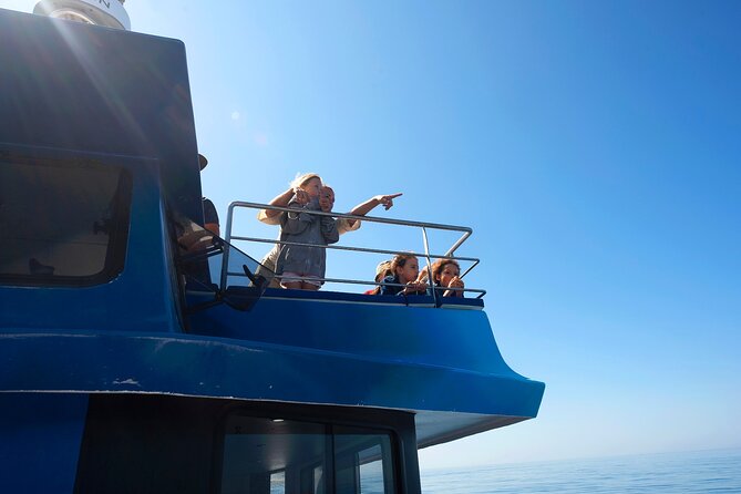 Lagos: Dolphins & Benagil Caves – Catamaran - Cave Country Without the Hassle: Benagil + Ponta da Piedade From Sea Level