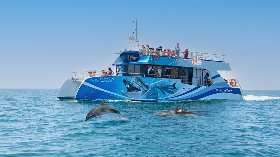 Lagos: Dolphins & Caves - Catamaran - Spotting Dolphins in Their Real Habitat (Not a Guaranteed Show)